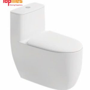 Bồn Cầu Liền Khối A2119