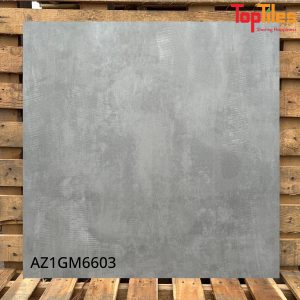 Gạch Viglacera 60×60 AZ1GM6603
