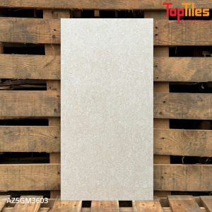 Gạch Viglacera 30x60 AZ5GM3603
