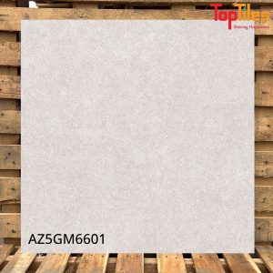 Gạch Viglacera 60×60 AZ5GM6601