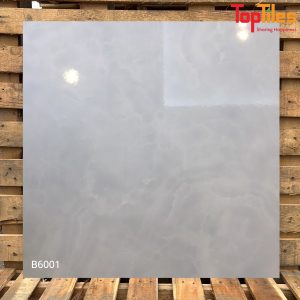Gạch Viglacera 60×60 B6001
