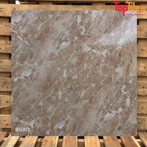 Gạch Viglacera 60×60 B6003