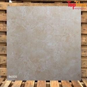 Gạch Viglacera 60×60 B6005