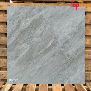 Gạch Viglacera 60×60 B6012
