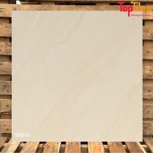 Gạch Viglacera 60×60 B6016
