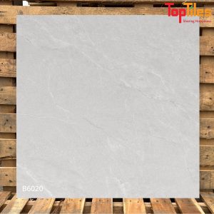 Gạch Viglacera 60×60 B6020