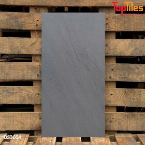 Gạch Viglacera  30x60 BS3664