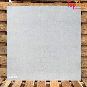 Gạch Viglacera 60×60 BS6601