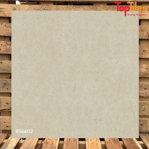Gạch Viglacera 60×60 BS6602