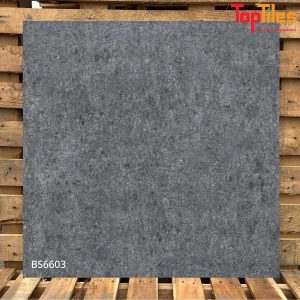 Gạch Viglacera 60×60 BS6603