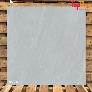Gạch Viglacera 60×60 BS6607
