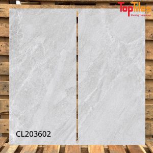 Gạch Viglacera 30x60 CL203602