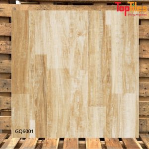 Gạch Viglacera 60×60 GQ6001