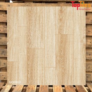 Gạch Viglacera 60×60 GQ6003