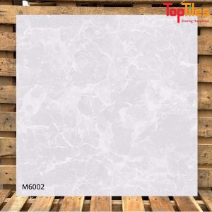 Gạch Viglacera 60×60 M6002