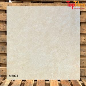 Gạch Viglacera 60×60 M6004