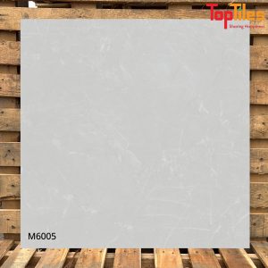 Gạch Viglacera 60×60 M6005