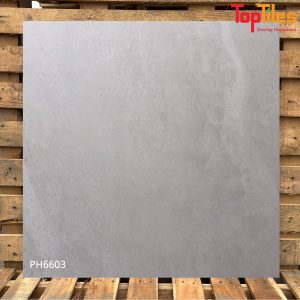 Gạch Viglacera 60×60 PH6003