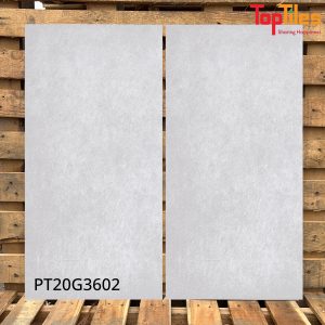 Gạch Viglacera 30x60 PT20G3602