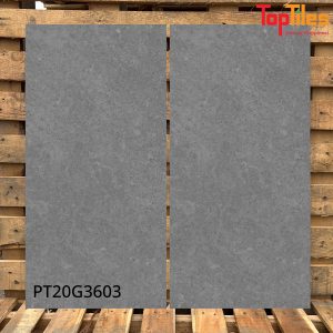 Gạch Viglacera 30x60 PT20G3603