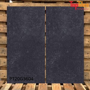Gạch Viglacera 30x60 PT20G3604