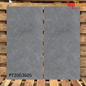 Gạch Viglacera 30x60 PT20G3605