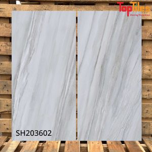 Gạch Viglacera 30x60 SH203602