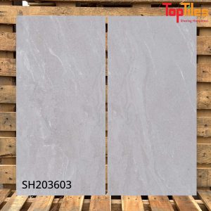 Gạch Viglacera 30x60 SH203603
