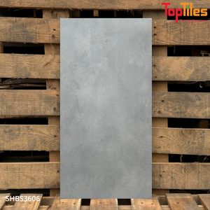 Gạch Viglacera 30x60 SHBS3606