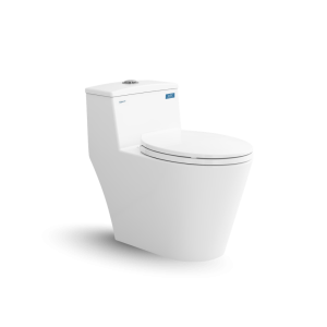 Bàn cầu một khối V823 Viglacera