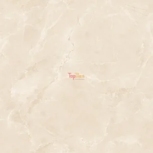 GẠCH NHẬP KHẨU ẤN ĐỘ 100x100 ALBORAN PARLA