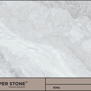 GẠCH NHẬP KHẨU MALAYSIA 60x120 612PXALC2