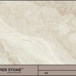 GẠCH NHẬP KHẨU MALAYSIA 60x120 612SLALC3