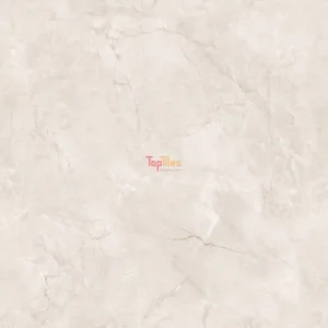 GẠCH NHẬP KHẨU ẤN ĐỘ 120x120 ALPINO GREY