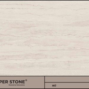 GẠCH NHẬP KHẨU MALAYSIA 60x120 612BV12612ND
