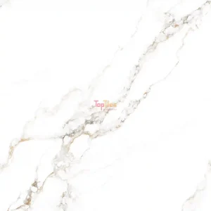GẠCH NHẬP KHẨU ẤN ĐỘ 120x120 CARRARA SIGNATURE