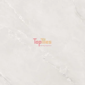 GẠCH NHẬP KHẨU ẤN ĐỘ 60x120 EMFLEX SILVER
