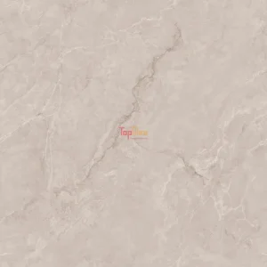 GẠCH NHẬP KHẨU ẤN ĐỘ 100x100 FIO GRIS