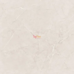 GẠCH NHẬP KHẨU ẤN ĐỘ 120x120 FIO BLANCO