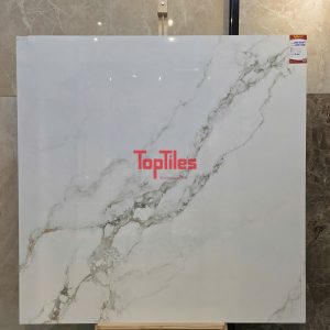 GẠCH NHẬP KHẨU ẤN ĐỘ 120x120 CARRARA SIGNATURAL