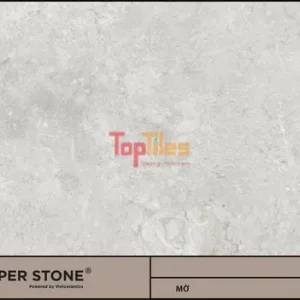 GẠCH NHẬP KHẨU MALAYSIA 60x120 612SLLIN1