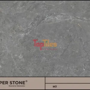 GẠCH NHẬP KHẨU MALAYSIA 60x120 612SLLIN4