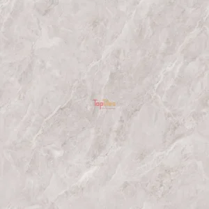 GẠCH NHẬP KHẨU ẤN ĐỘ 120x120 LUCIDO GREY