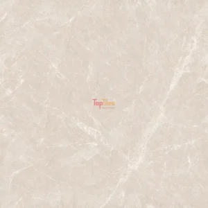 GẠCH NHẬP KHẨU ẤN ĐỘ 100x100 PROVENZA TAUPE
