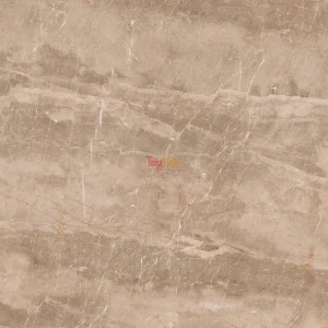 GẠCH NHẬP KHẨU ẤN ĐỘ 100x100 ROCKSTONE BROWN