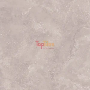 GẠCH NHẬP KHẨU ẤN ĐỘ 60x120 SILSTONE GREY