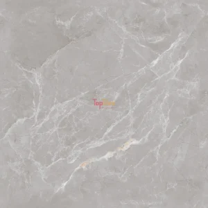 GẠCH NHẬP KHẨU ẤN ĐỘ 100x100 TOKYO GREY ENDLESS