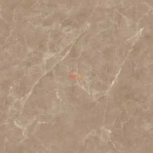 GẠCH NHẬP KHẨU ẤN ĐỘ 120x120 TOKYO TAUPE