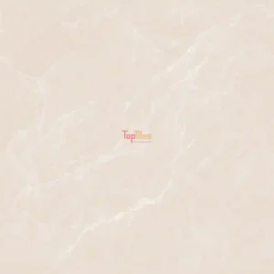 GẠCH NHẬP KHẨU ẤN ĐỘ 120x120 TOKYO BEIGE