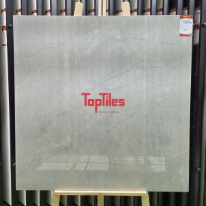 GẠCH NHẬP KHẨU ẤN ĐỘ 100x100 6465 ASI